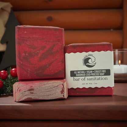 Bar of Sanitation D&D Inspired Soap - Crafted with the finest ingredients in the realm