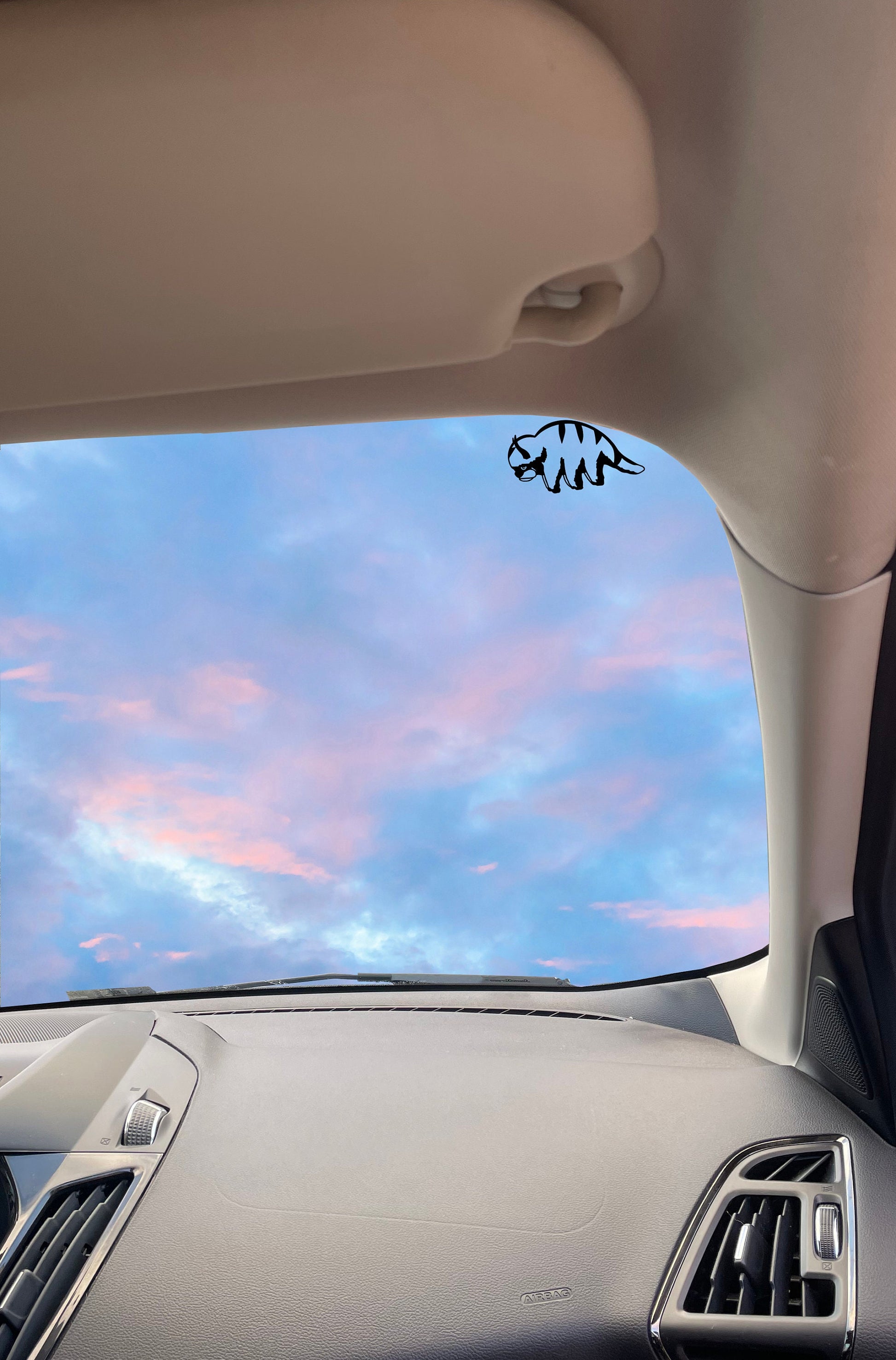 Appa Flying Windshield Decal